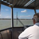 Solarboot-Exkursion, Birdwatching, Nationalpark Neusiedler See-Seewinkel, Burgenland, Neusiedler See Card, Foto Anita Arneitz, Reiseblog www.anitaaufreisen.at