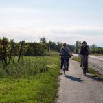 Radtour in Illmitz mit Birdwatching, Neusiedler See Burgenland, Neusiedler See Card, Foto Anita Arneitz, Reiseblog www.anitaaufreisen.at