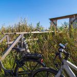 Radtour in Illmitz mit Birdwatching, Neusiedler See Burgenland, Neusiedler See Card, Foto Anita Arneitz, Reiseblog www.anitaaufreisen.at
