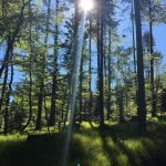 Urlaubstipps, Ausflugstipps, Villach, Kärnten, Foto Astrid Fallosch