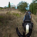 Reiturlaub in der Toskana, Wanderritt Italien, Fotos Karin Schafler, Tipps auf Reiseblog www.anitaaufreisen.at