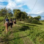 Reiturlaub in der Toskana, Wanderritt Italien, Fotos Karin Schafler, Tipps auf Reiseblog www.anitaaufreisen.at