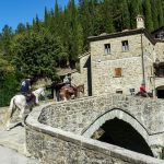Reiturlaub in der Toskana, Wanderritt Italien, Fotos Karin Schafler, Tipps auf Reiseblog www.anitaaufreisen.at