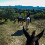 Reiturlaub in der Toskana, Wanderritt Italien, Fotos Karin Schafler, Tipps auf Reiseblog www.anitaaufreisen.at