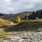 Velika Planina in Slowenien, Foto Anita Arneitz, Reiseblog www.anitaaufreisen.at
