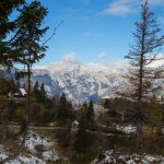 Velika Planina in Slowenien, Foto Anita Arneitz, Reiseblog www.anitaaufreisen.at