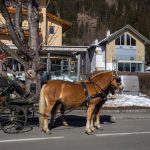 Kutschenfahrt durch den Naturpark Weissensee, Kärnten, Österreich, Foto Anita Arneitz, Reiseblog anitaaufreisen.at