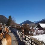 Kutschenfahrt durch den Naturpark Weissensee, Kärnten, Österreich, Foto Anita Arneitz, Reiseblog anitaaufreisen.at