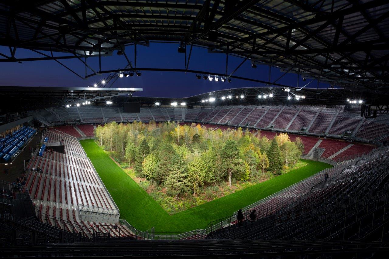 For Forest im Wörthersee Stadion in Klagenfurt, Foto Matthias Eichinger, Tipps fürs Waldbaden in Kärnten