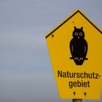 Ellenbogen, Winter auf Sylt, Tipps vom Reiseblog anitaaufreisen.at, Foto Anita Arneitz