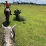 Reiten in Mexiko