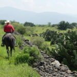 Reiten in Mexiko