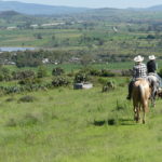 Reiten in Mexiko