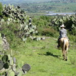 Reiten in Mexiko
