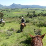 Reiten in Mexiko