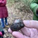 Trüffelwanderung Graz