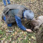 Trüffelwanderung Graz