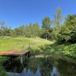 Teich Gut Trögern