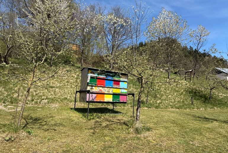 Apitherapie Slowenien Bled