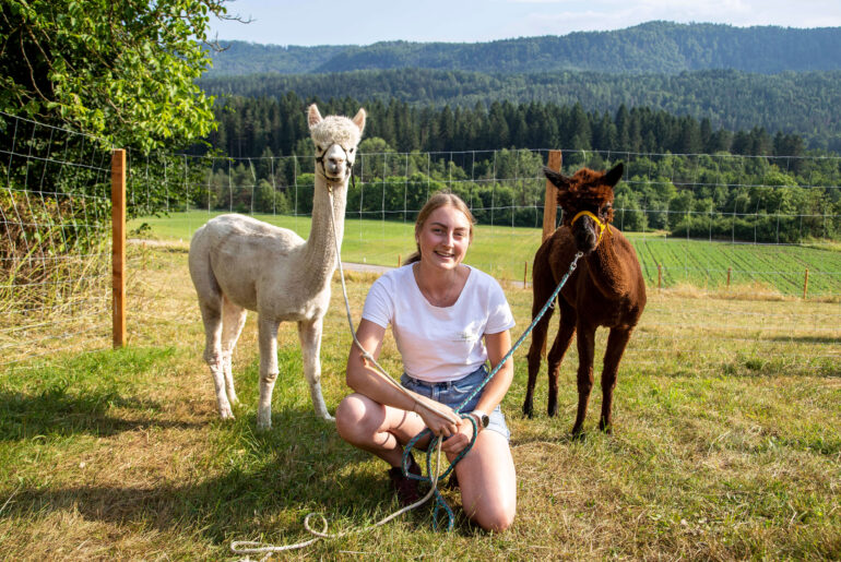 Isabella mit ihren "Pyramidenkogel Alpakas" in Schiefling am Wörthersee